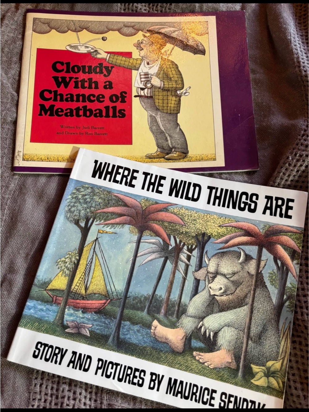 Where the Wild Things Are & Cloudy With a Chance of Meatballs